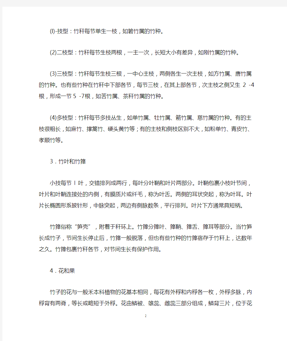 竹子的形态特征与组成部分