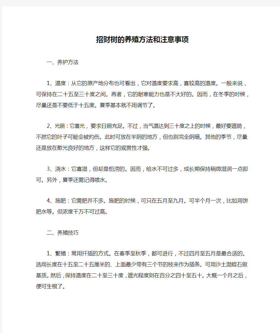 招财树的养殖方法和注意事项