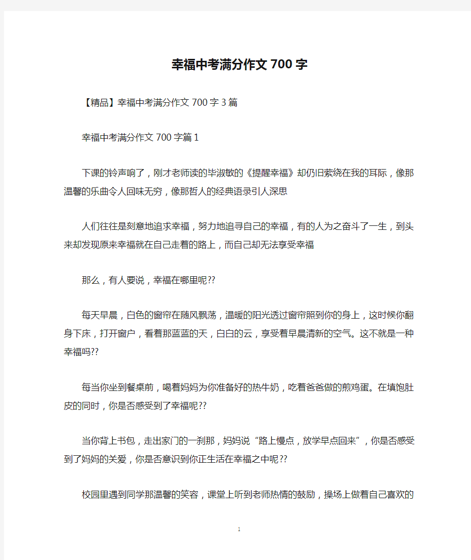 幸福中考满分作文700字