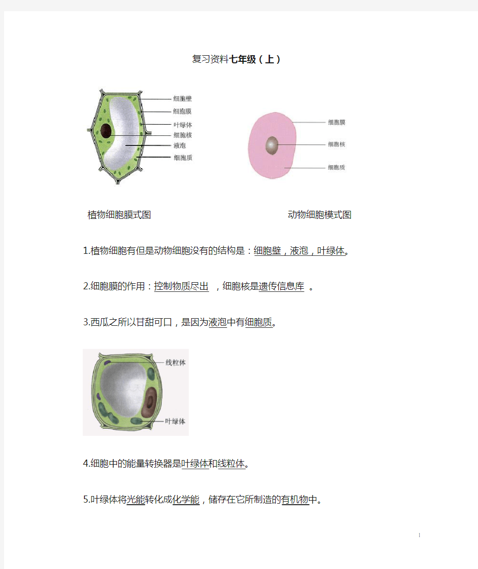 初中生物总复习重点图