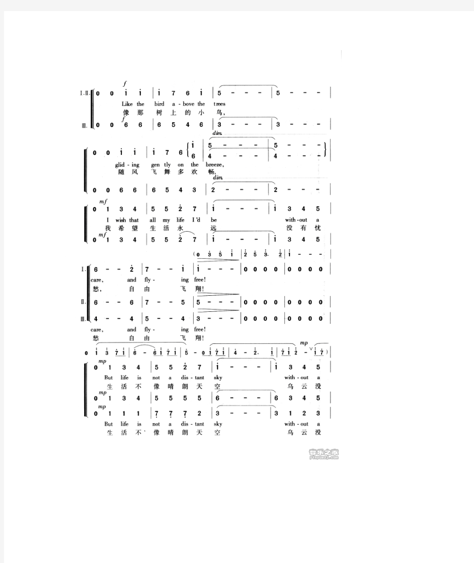 自由飞翔合唱简谱