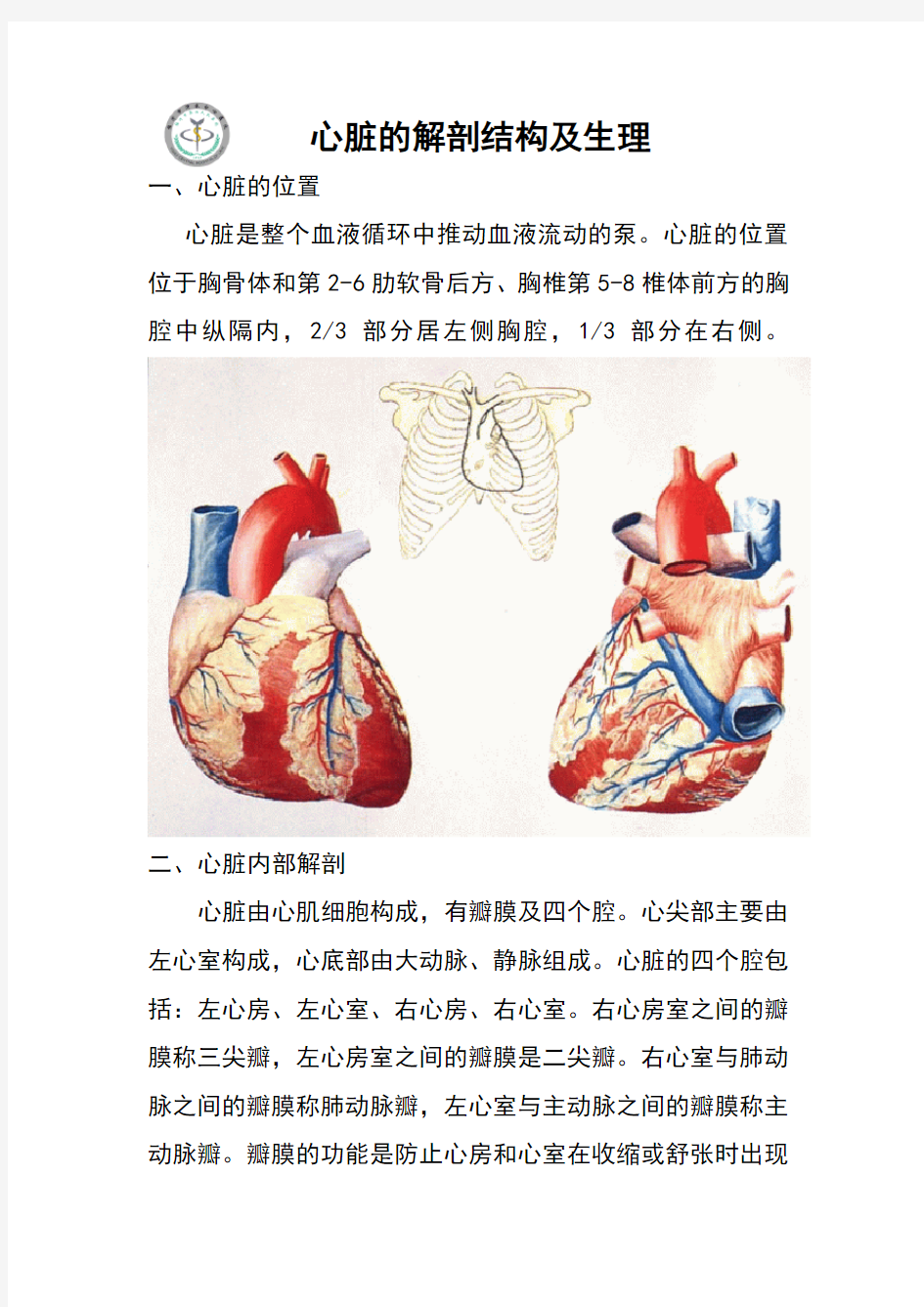 心脏的解剖结构及生理