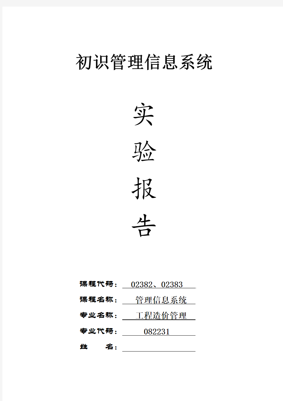 初识管理信息系统实验报告