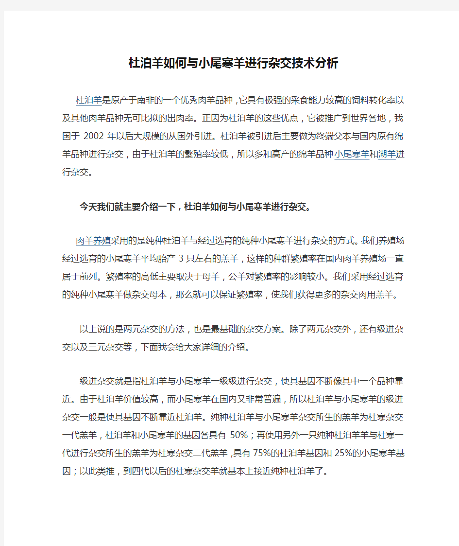 杜泊羊如何与小尾寒羊进行杂交技术分析