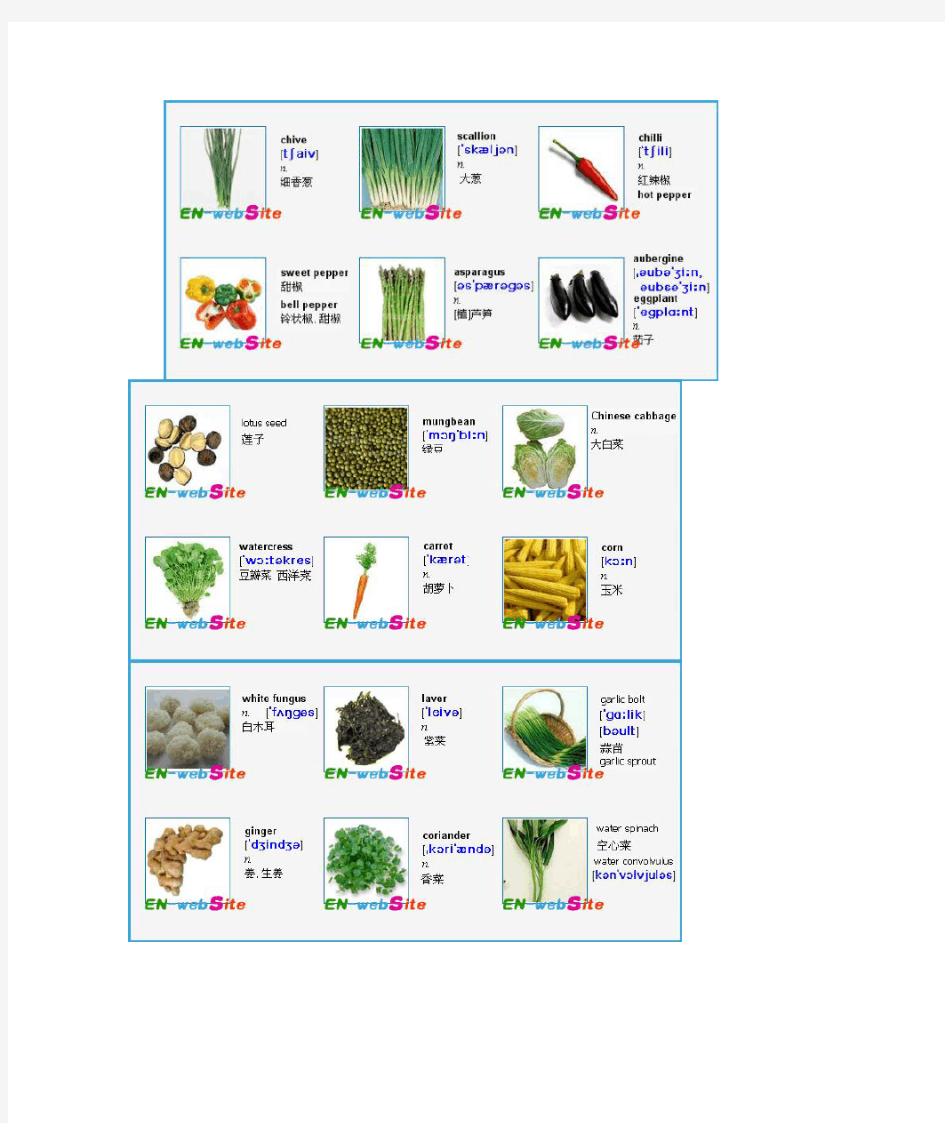 常见各种蔬菜英文名称-图文