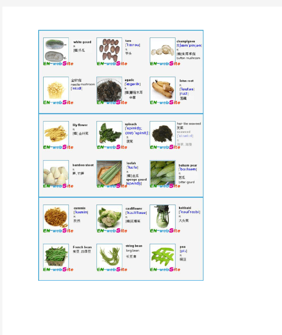 常见各种蔬菜英文名称-图文