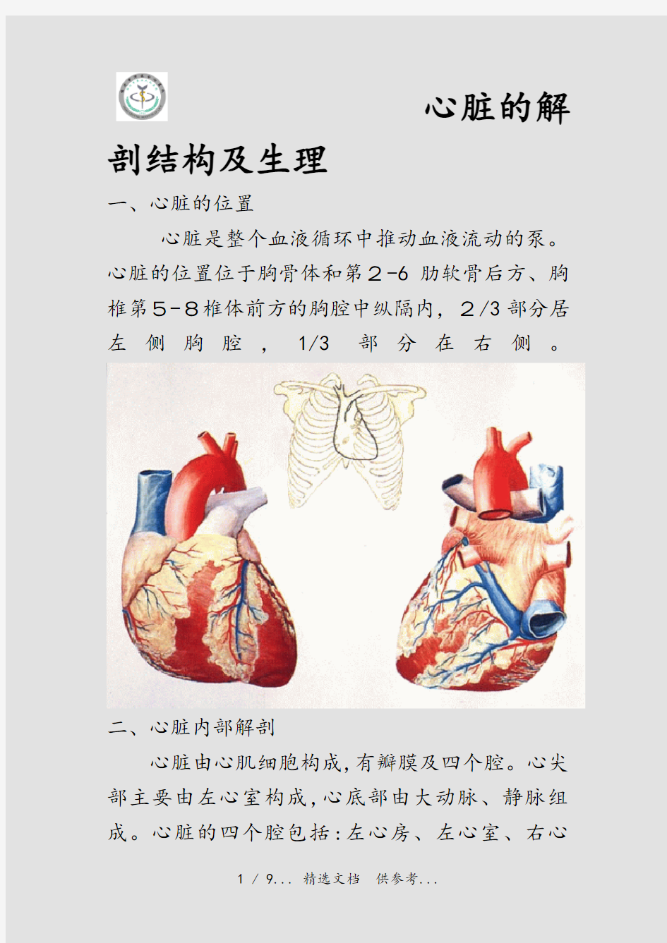 心脏的解剖结构及生理(干货)