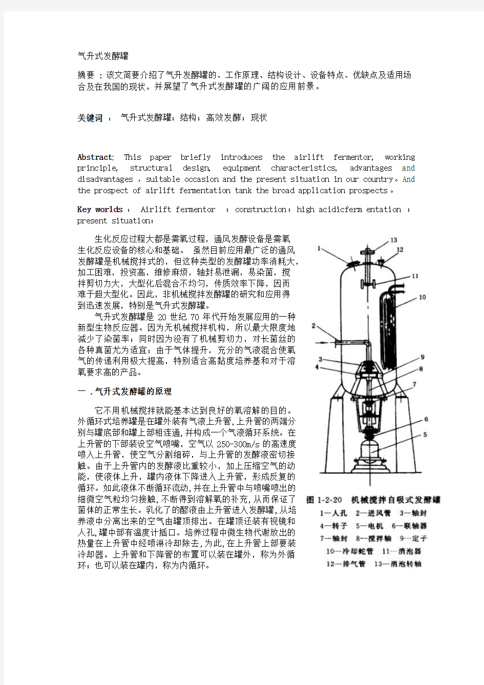 气升式发酵罐