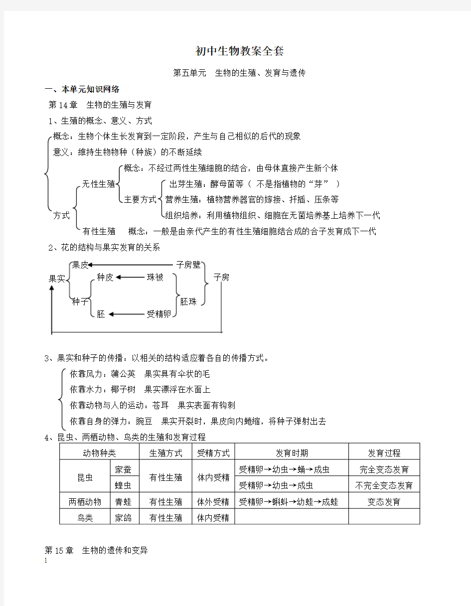 初中生物教学案全套