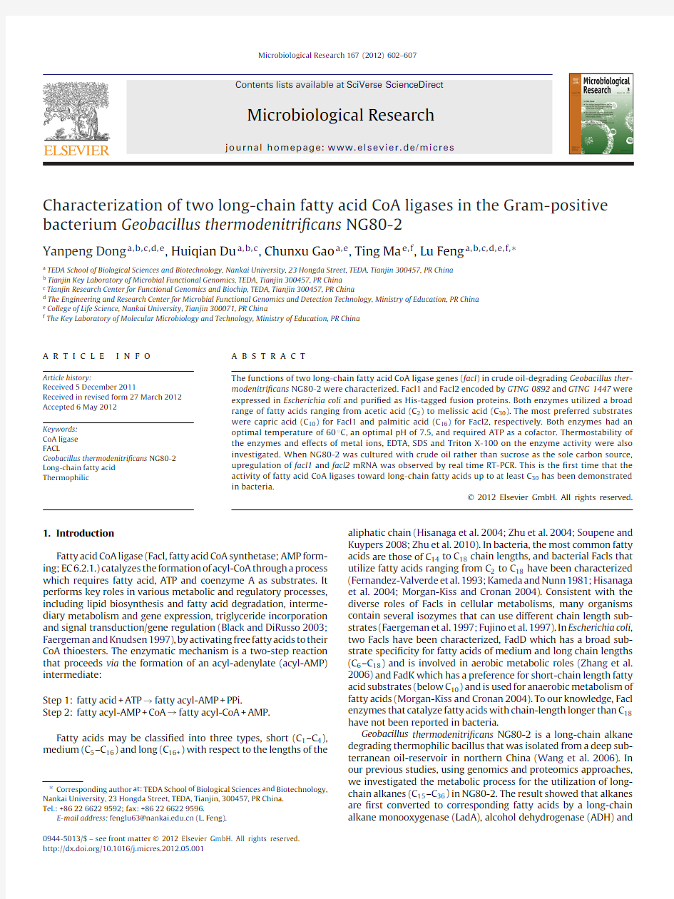 Characterization of two long-chain fatty acid CoA ligases in the Gram-positive