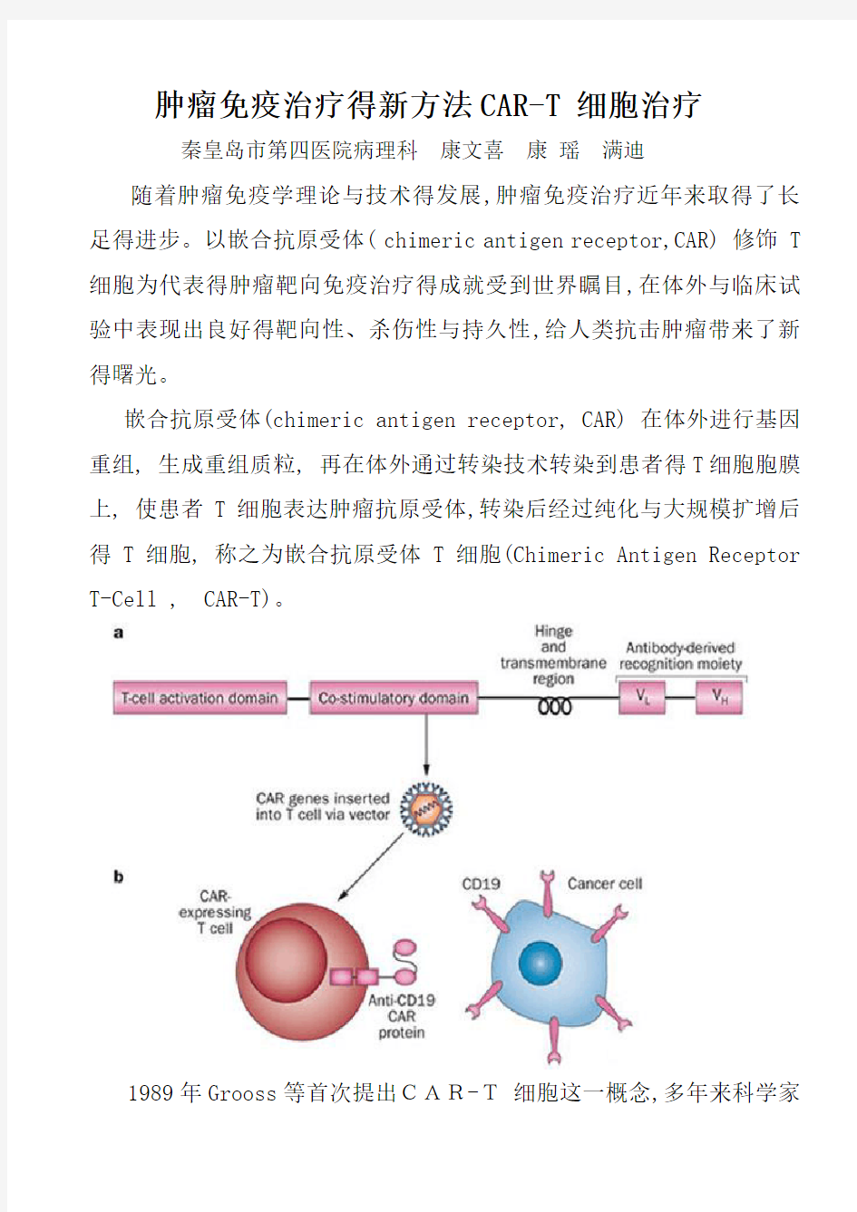 肿瘤免疫治疗的新方法CAR-T 细胞治疗