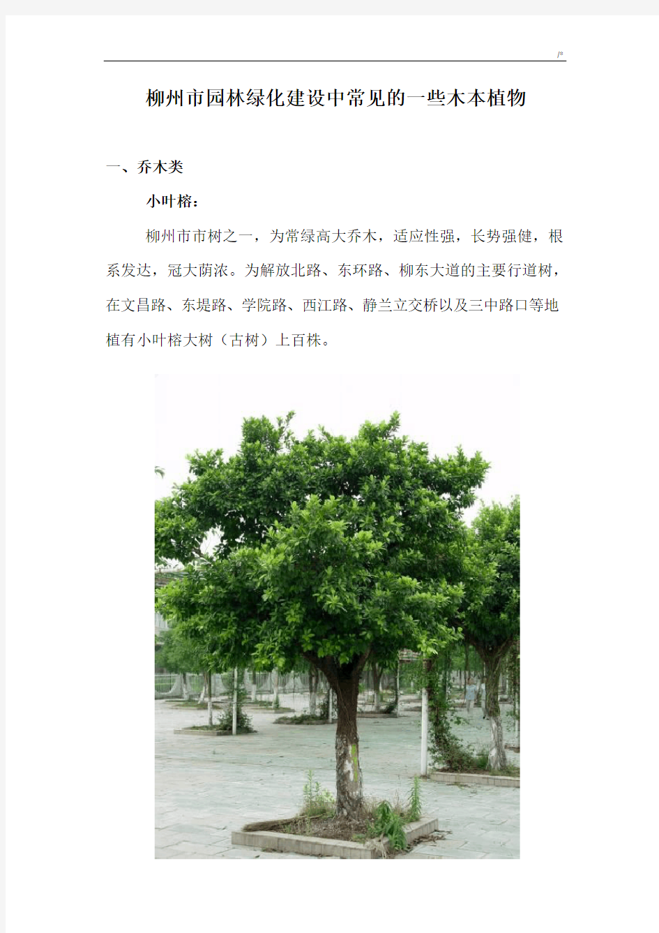柳州市园林绿化常见部分植物