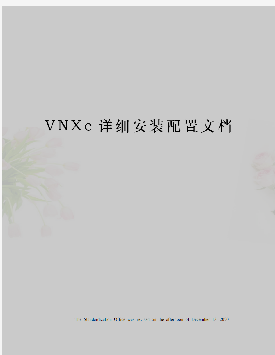 VNXe详细安装配置文档