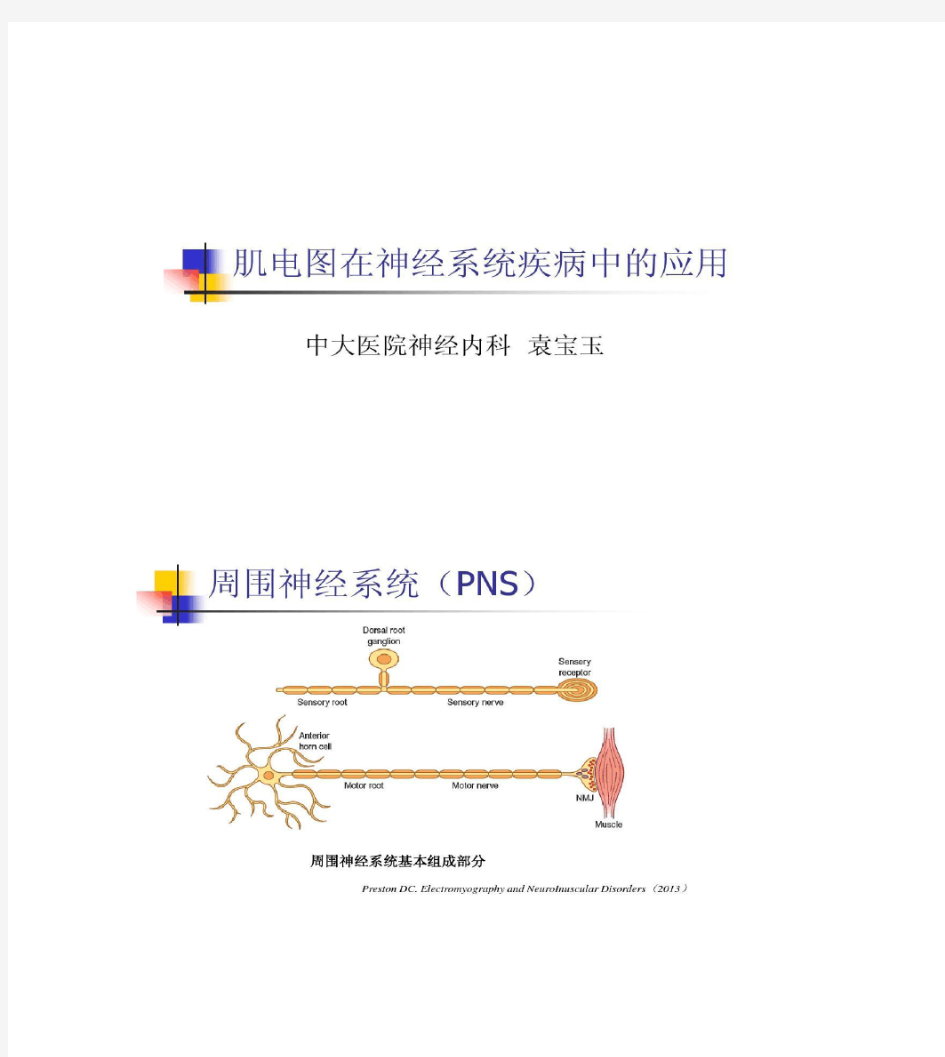 肌电图基础解读