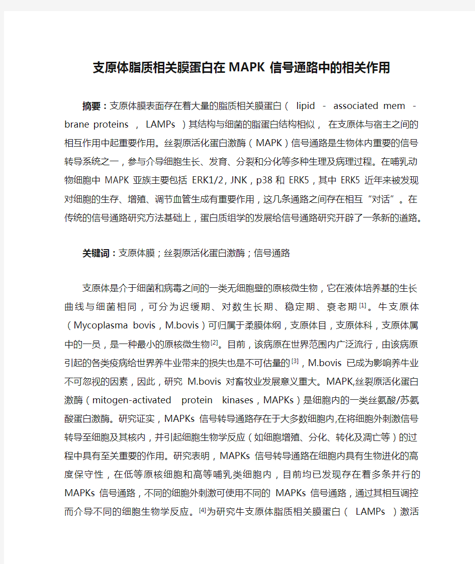 支原体脂质相关膜蛋白在MAPK 信号通路中的相关作用