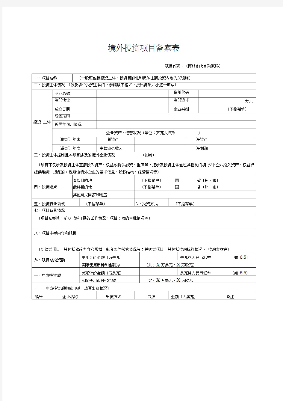 境外投资项目备案表