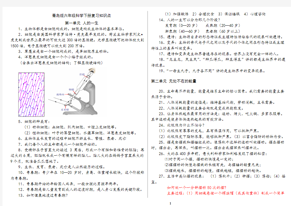 青岛版六年级科学下册复习知识点打印版