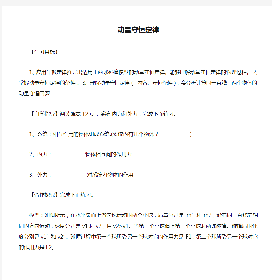 动量守恒定律学案修改