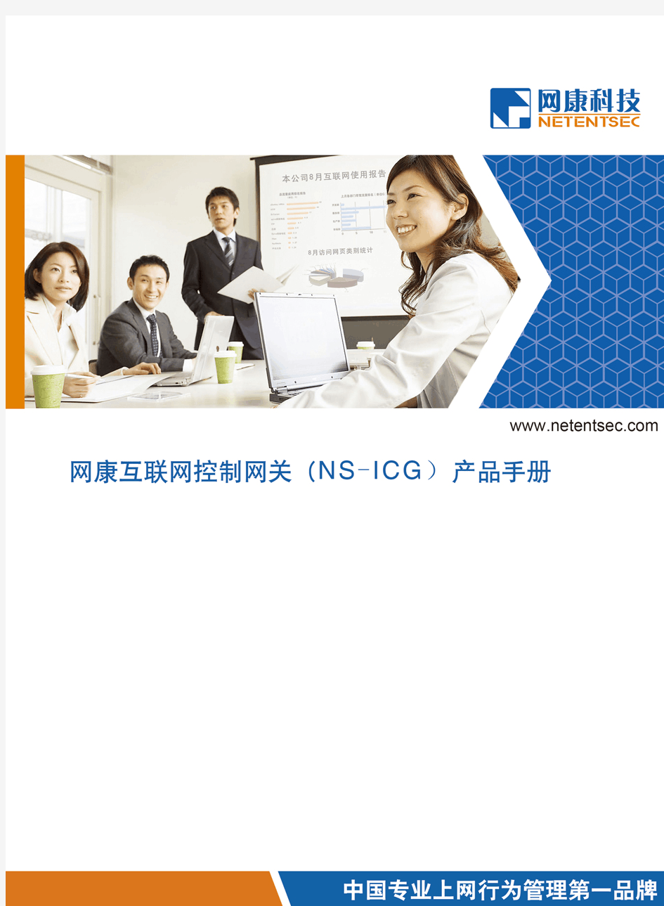 ICG网康互联网控制网关 NS-ICG产品手册
