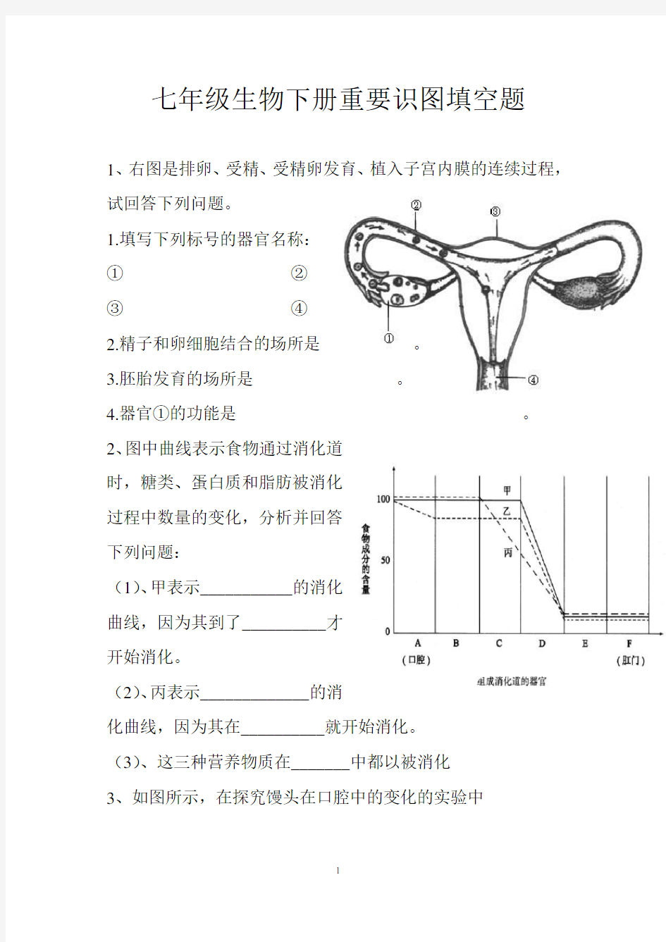 七年级生物下册重要识图填空题