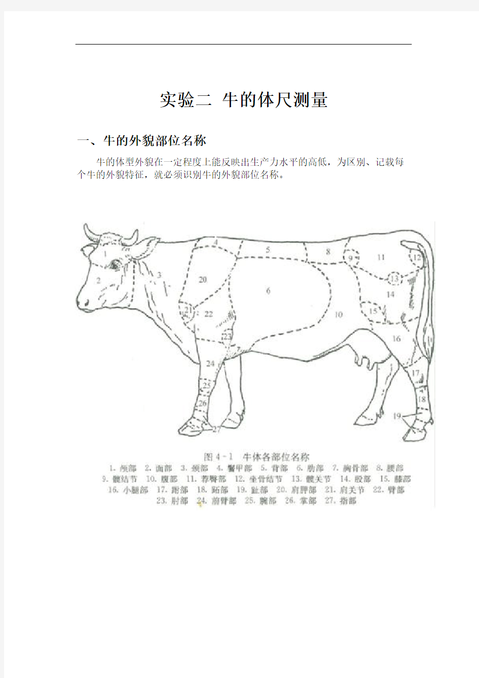 牛生产体尺测量实验修订稿