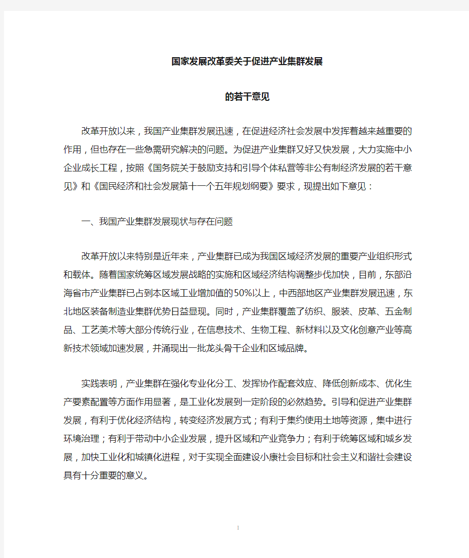 关于促进产业集群发展的若干意见