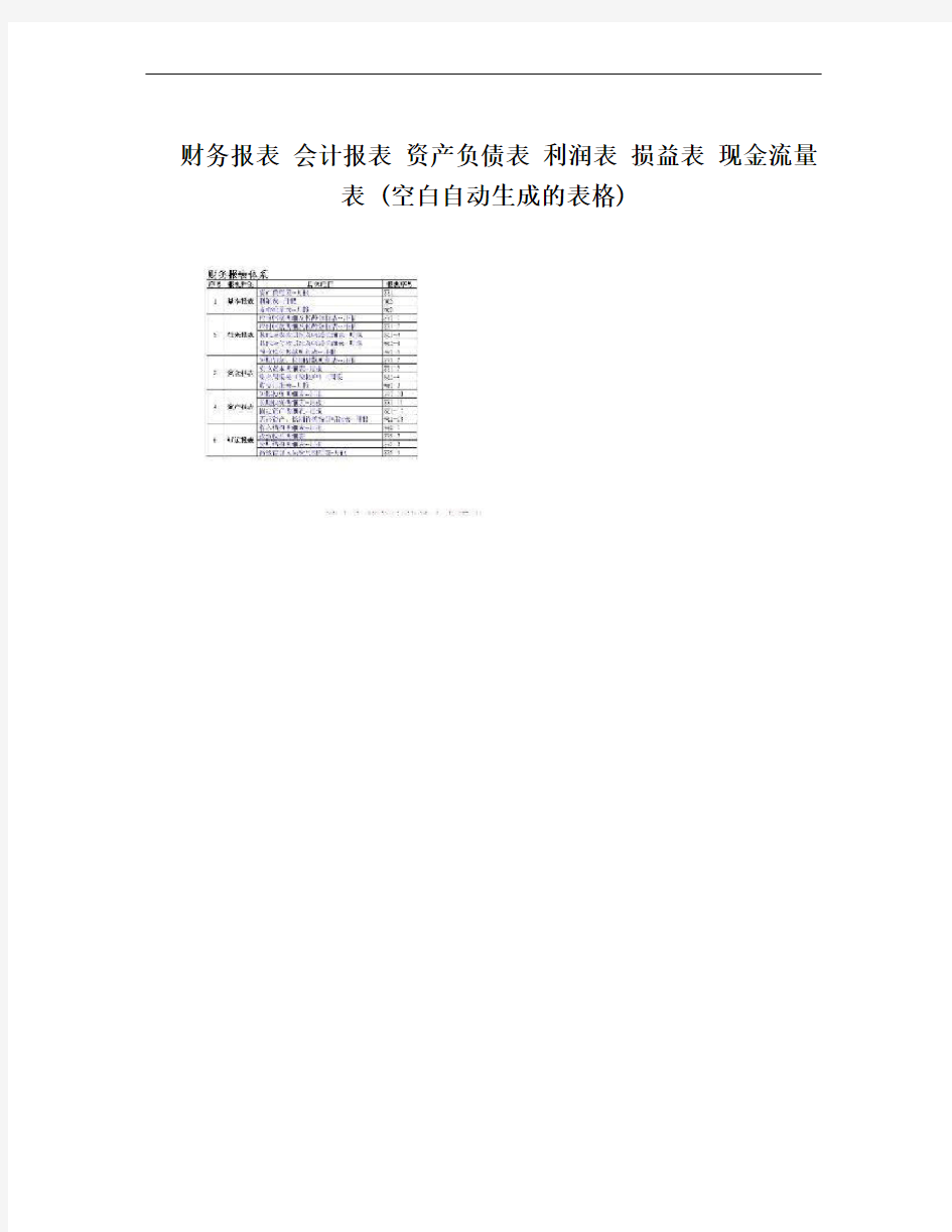 财务报表 会计报表 资产负债表 利润表 损益表 现金流量表 (空白自动生成的表格)