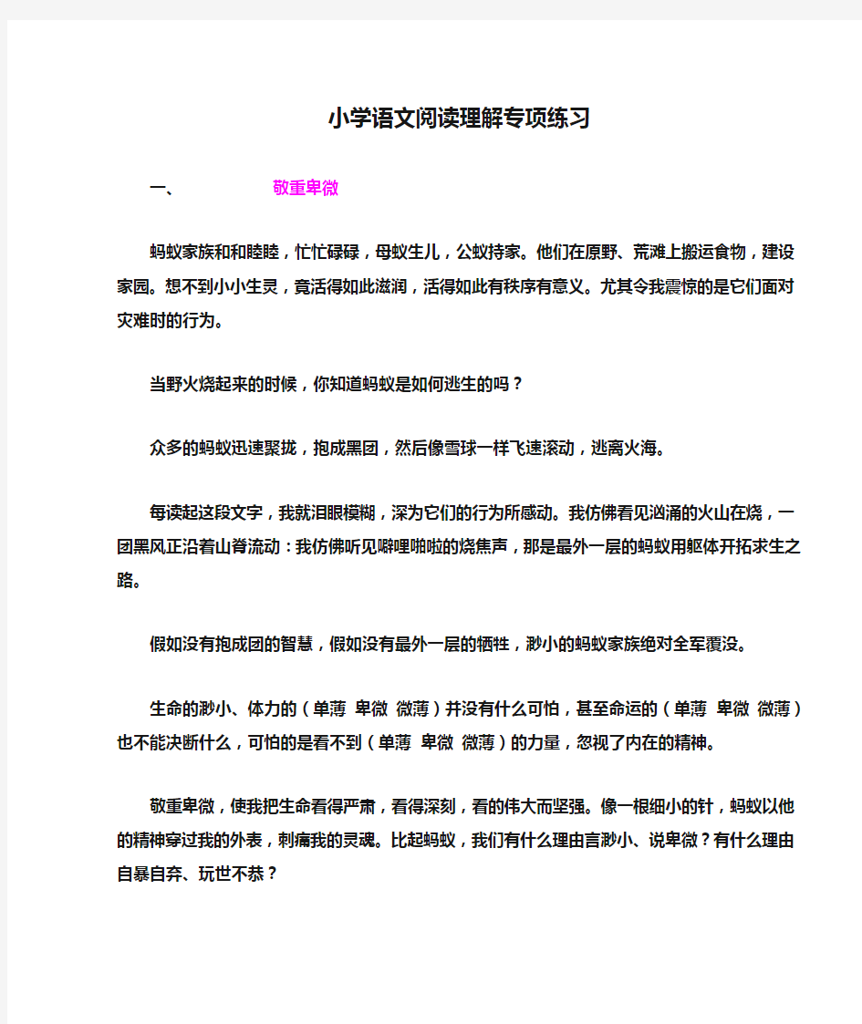 小学语文阅读理解专项练习