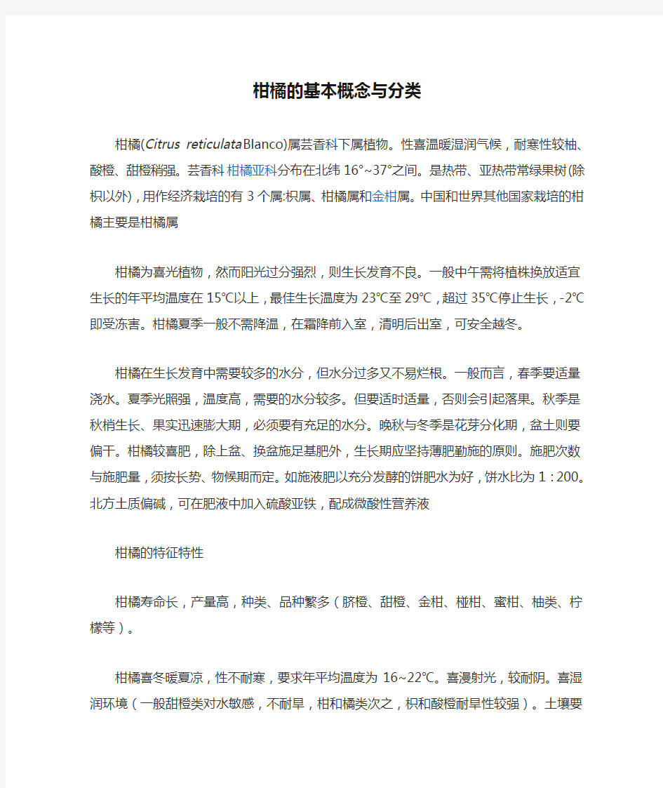 柑橘的基本概念与分类