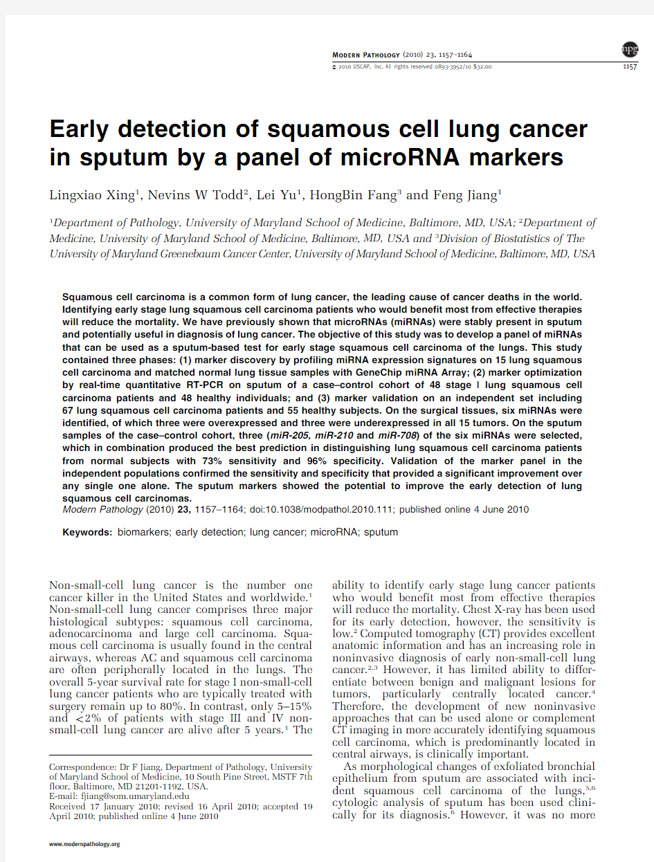 Early detection of squamous cell lung cancer in sputum by a panel of microRNA markers