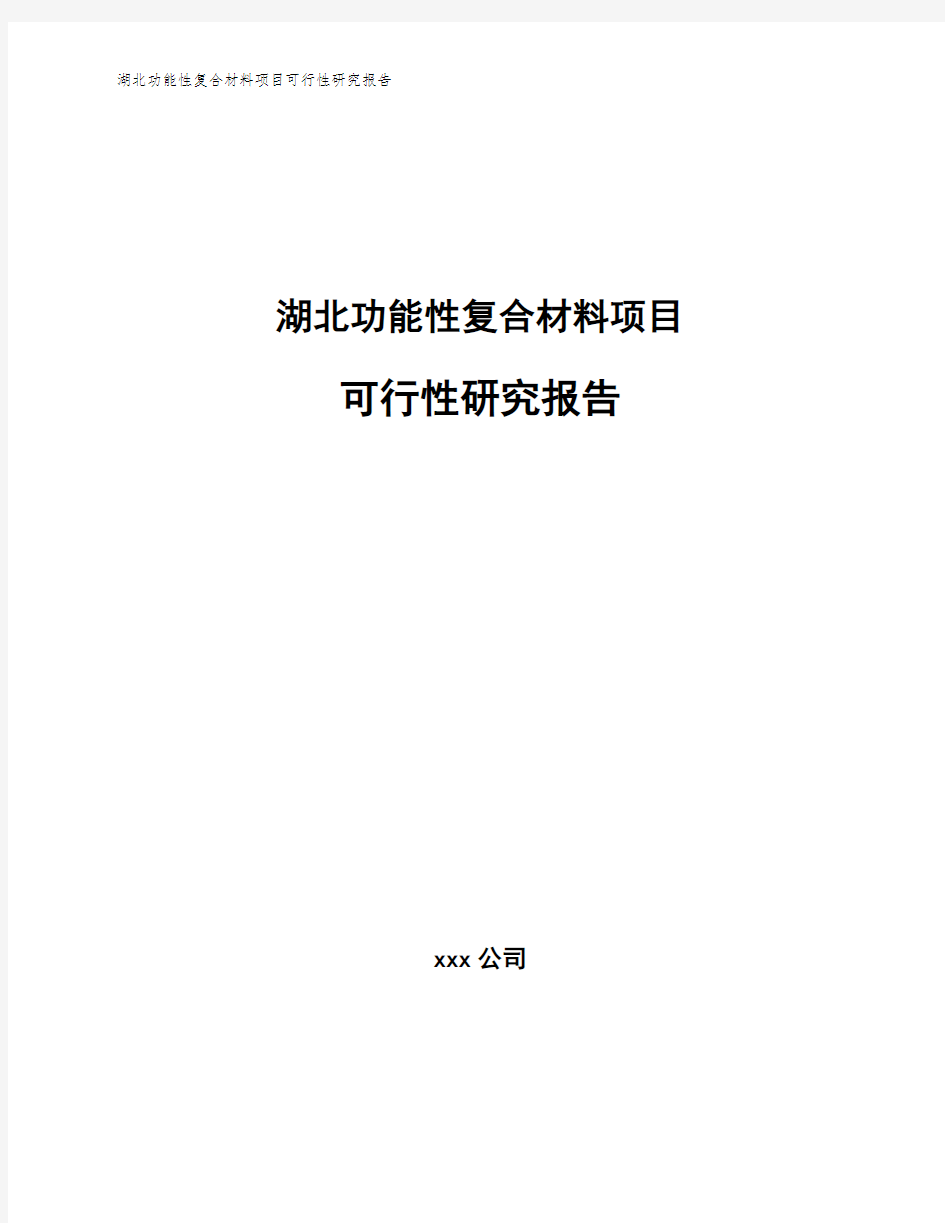 湖北功能性复合材料项目可行性研究报告