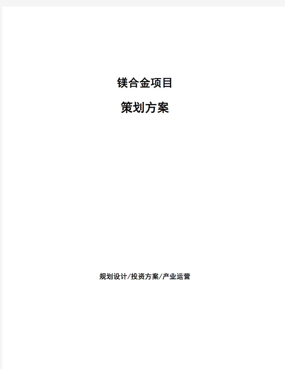 镁合金项目策划方案