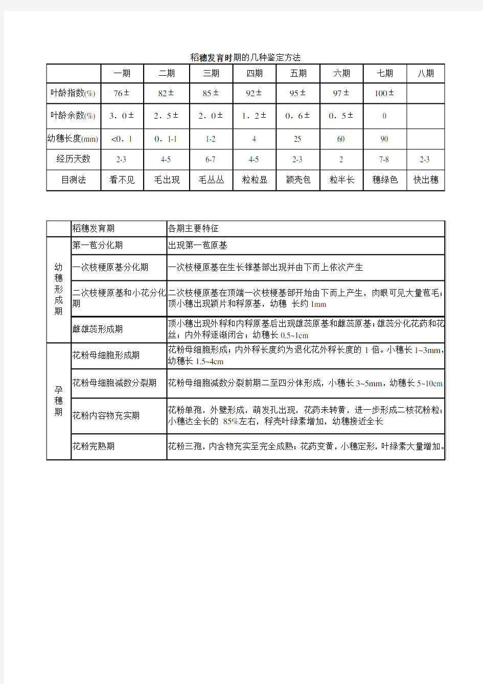 水稻穗分化