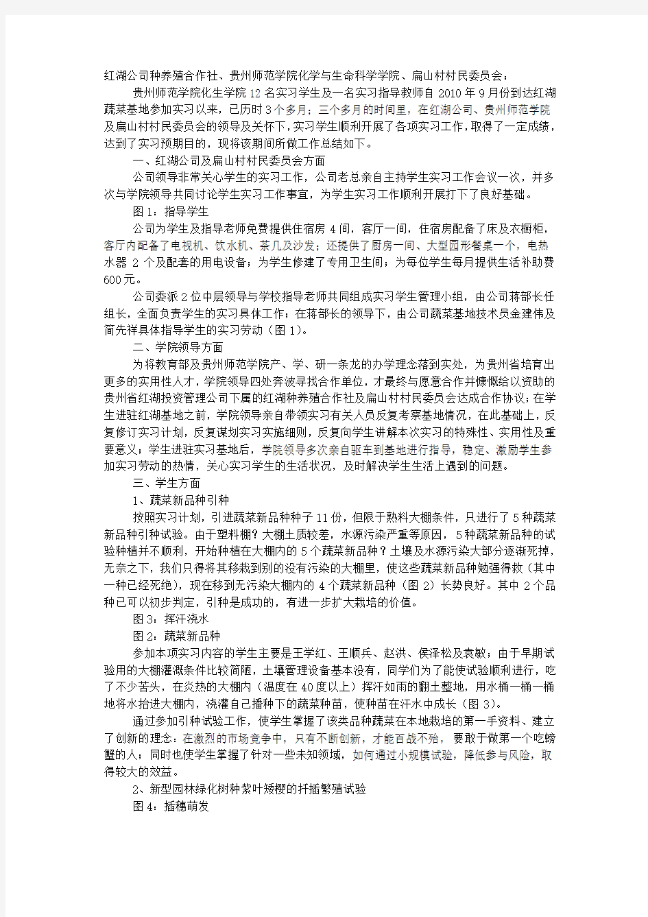 蔬菜基地实习工作总结.docx