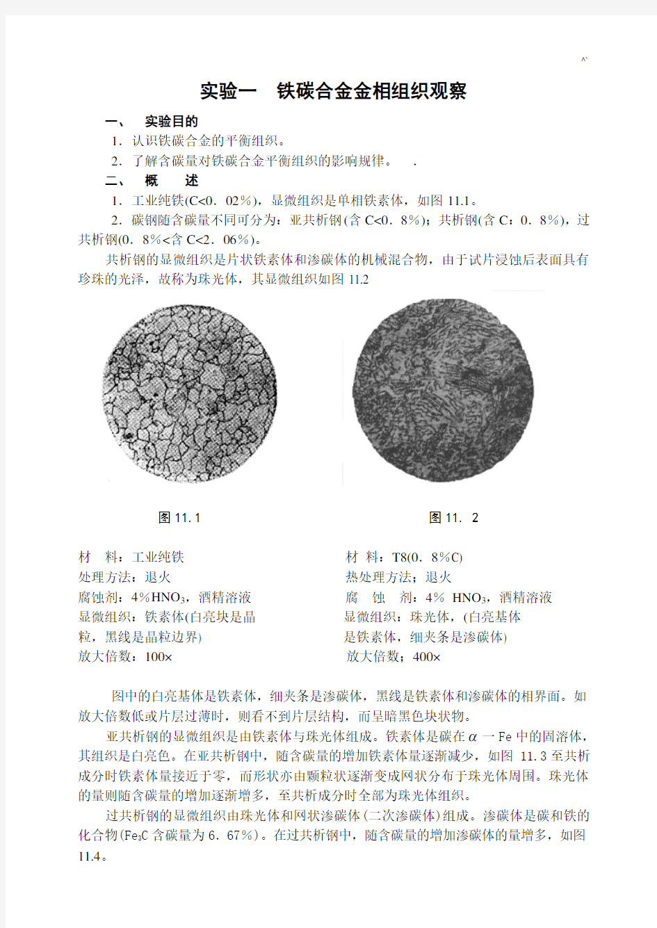 实验一铁碳合金金相组织观察