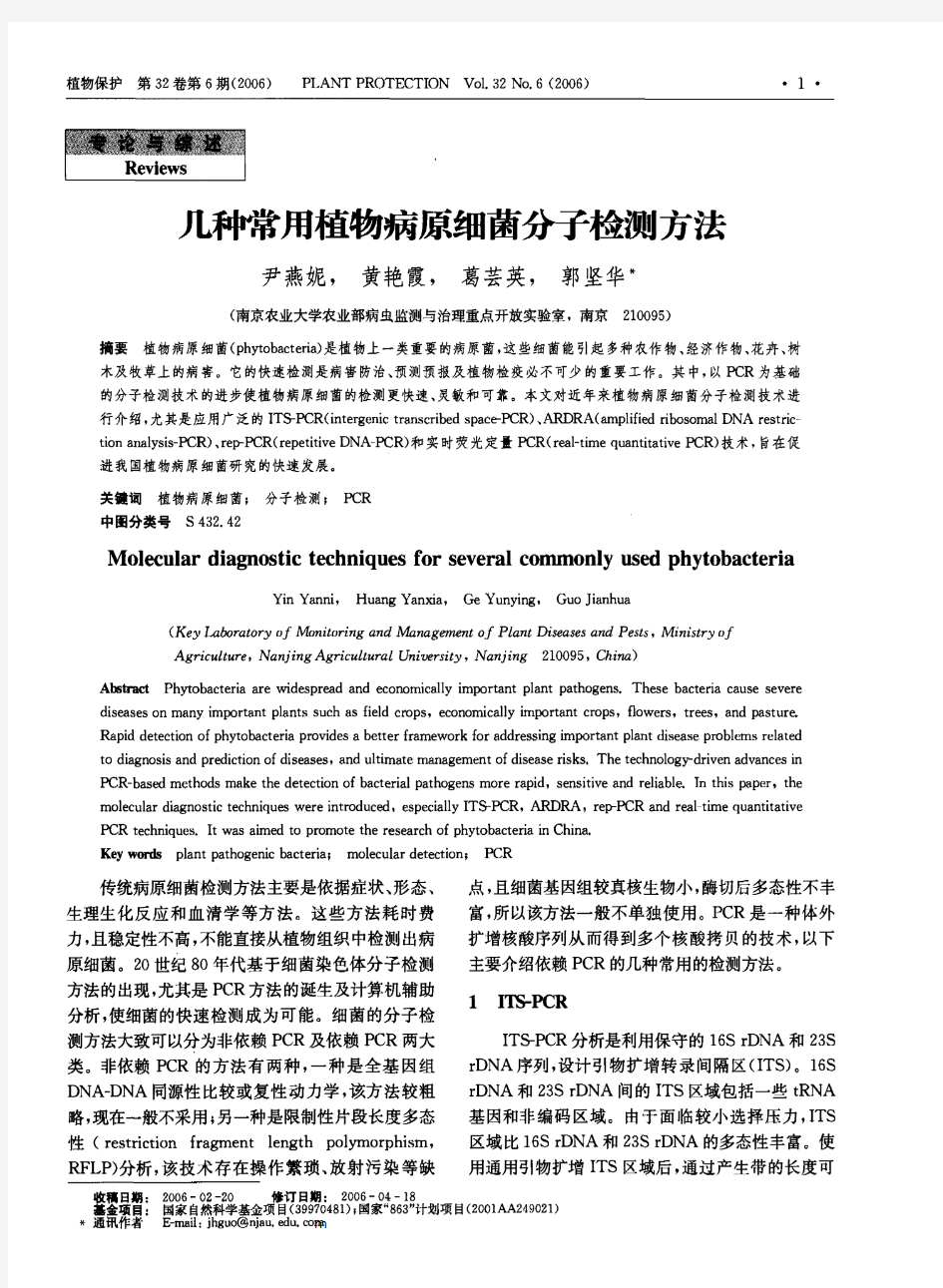 几种常用植物病原细菌分子检测方法