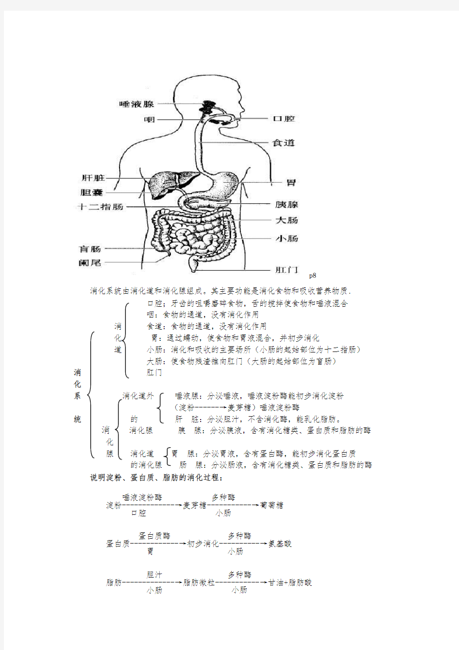 七年级(下册)生物图