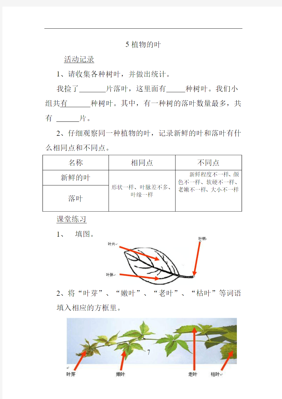 5植物的叶练习题及答案