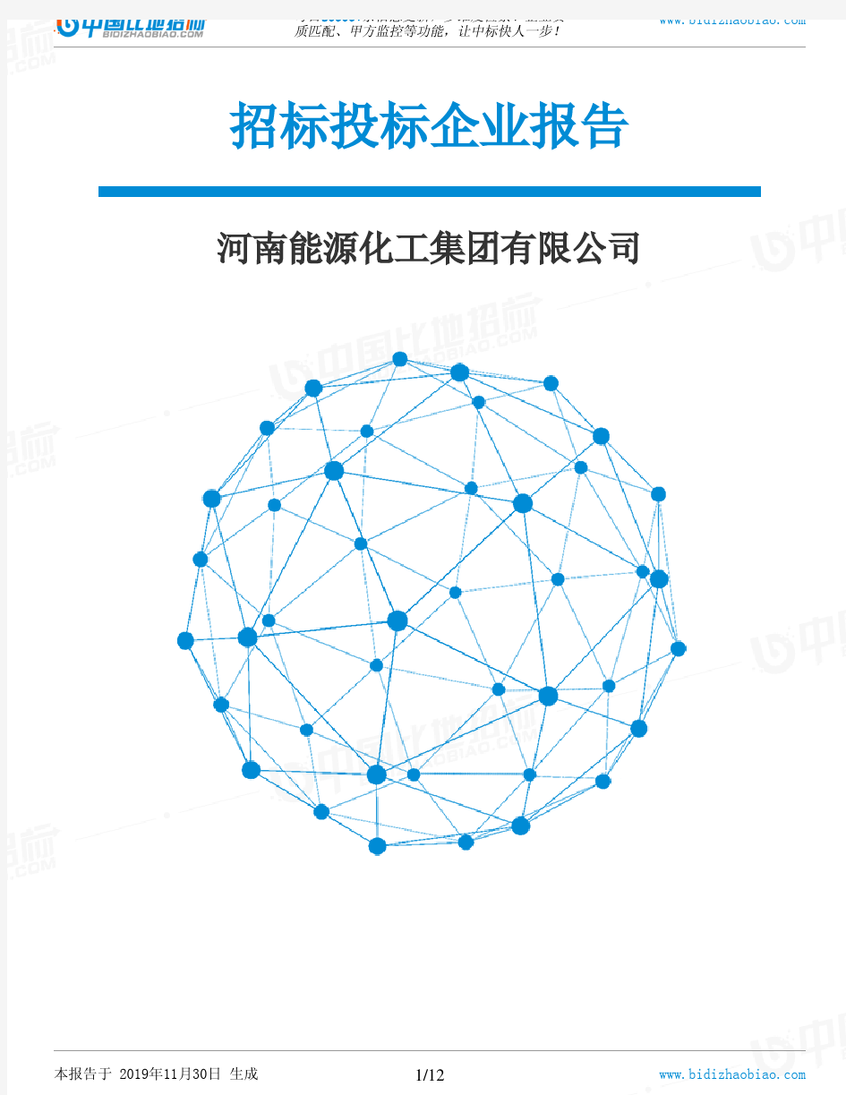 河南能源化工集团有限公司-招投标数据分析报告