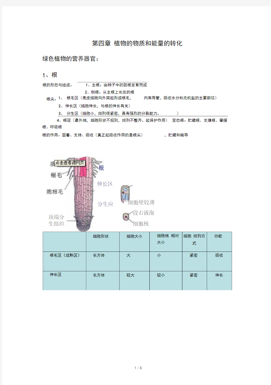 第四章植物的物质和能量的转化小结