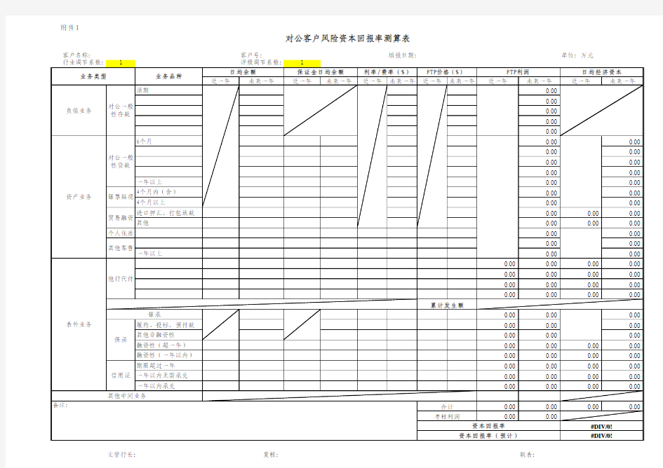 对公客户风险资本回报率测算表