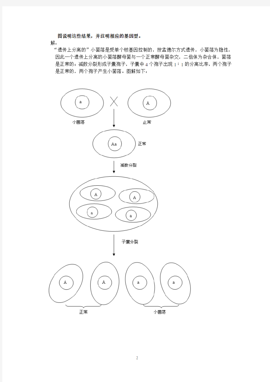 刘祖洞遗传学第三版答案 第13章 细胞质和遗传