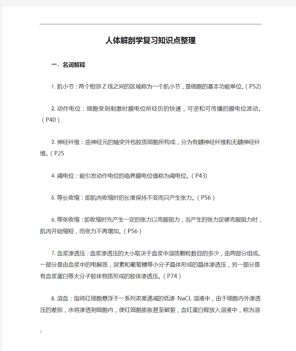 人体解剖学复习知识点整理(2)