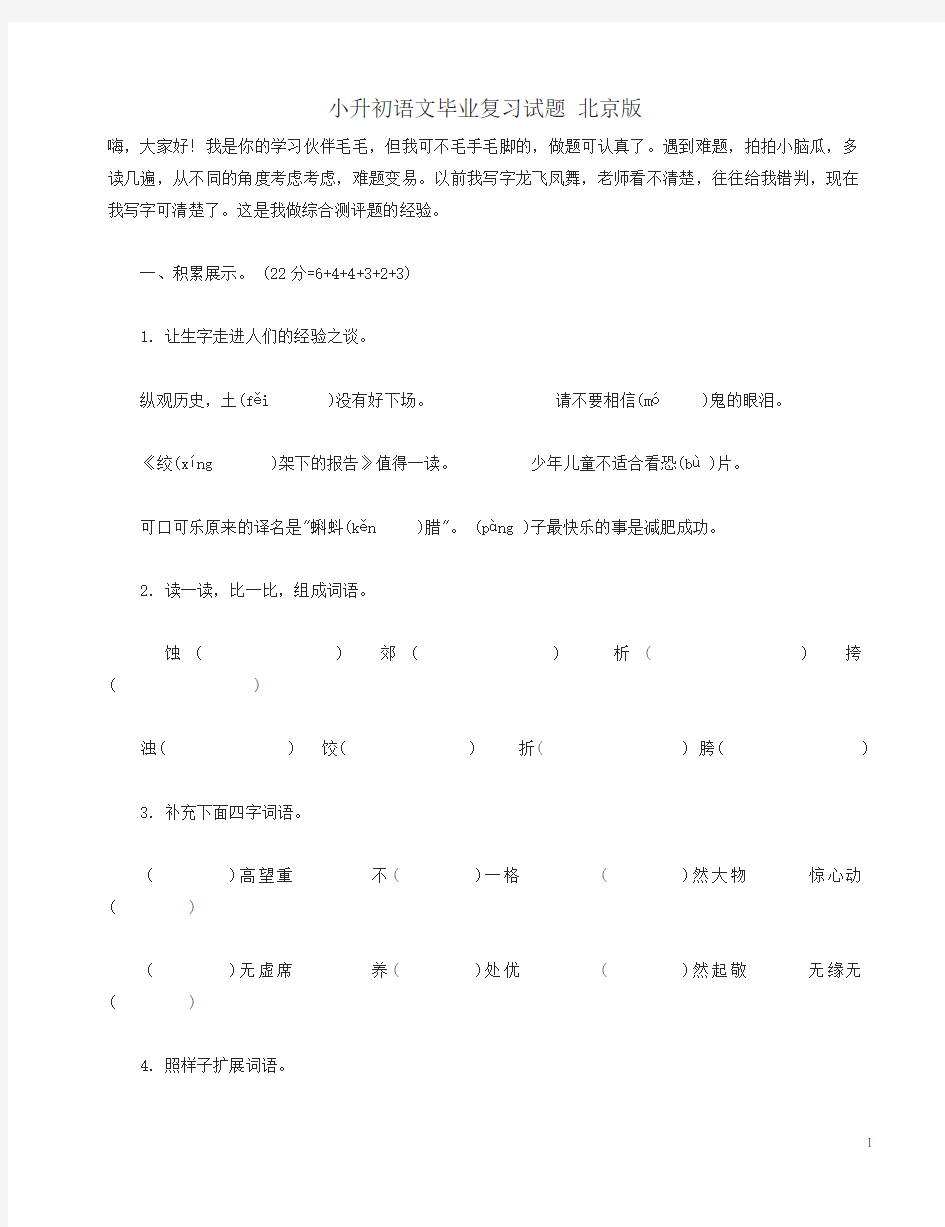 (最新)北京市小升初语文毕业复习考试卷