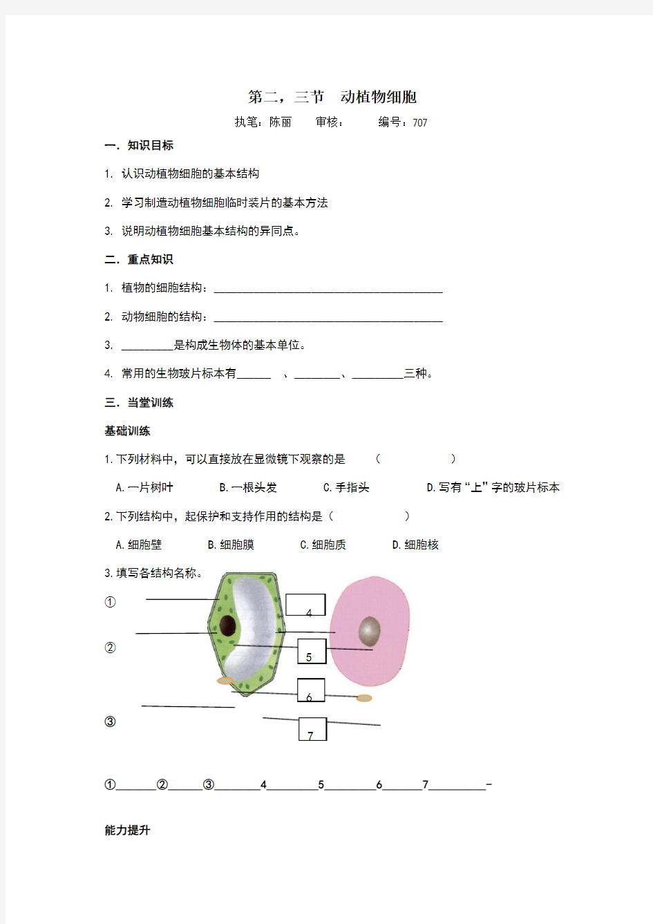 动植物细胞