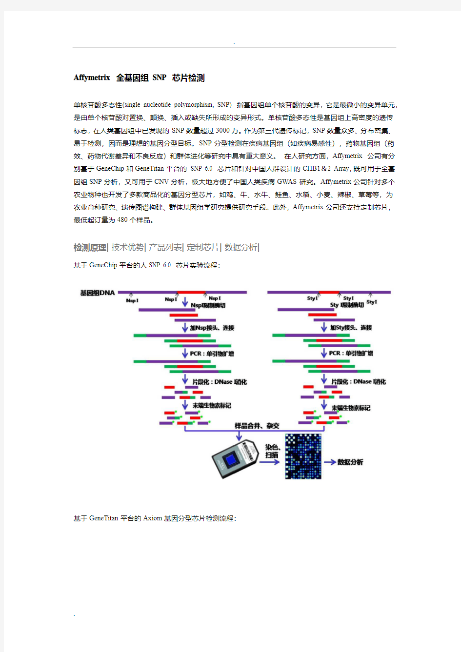 Affymetrix 全基因组 SNP 芯片检测