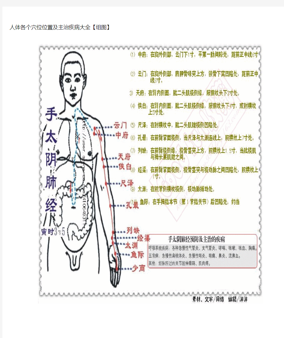 人体各个穴位位置及主治疾病大全