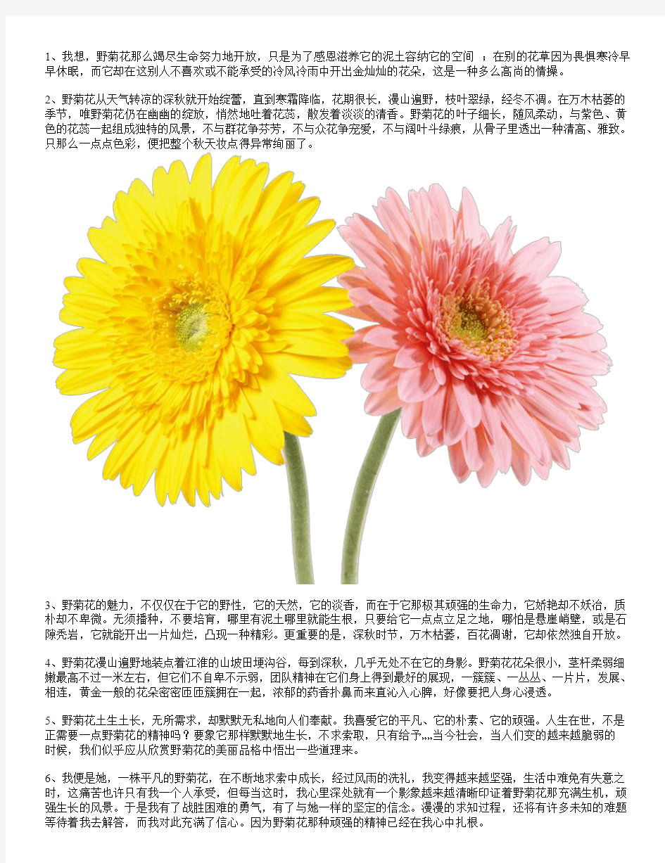 赞美菊花的句子