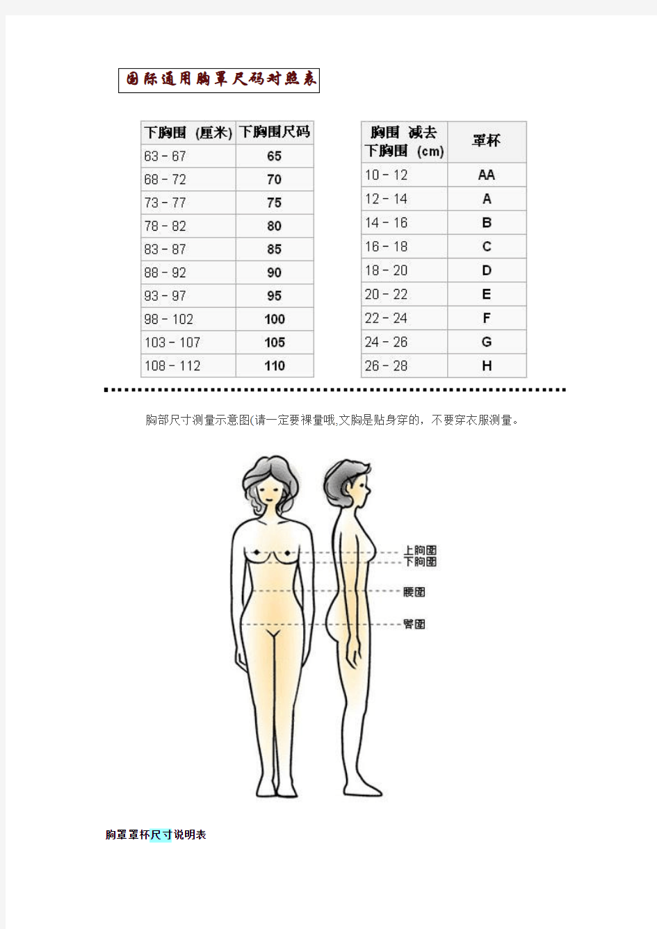 国际通用胸罩尺码对照表 及其他