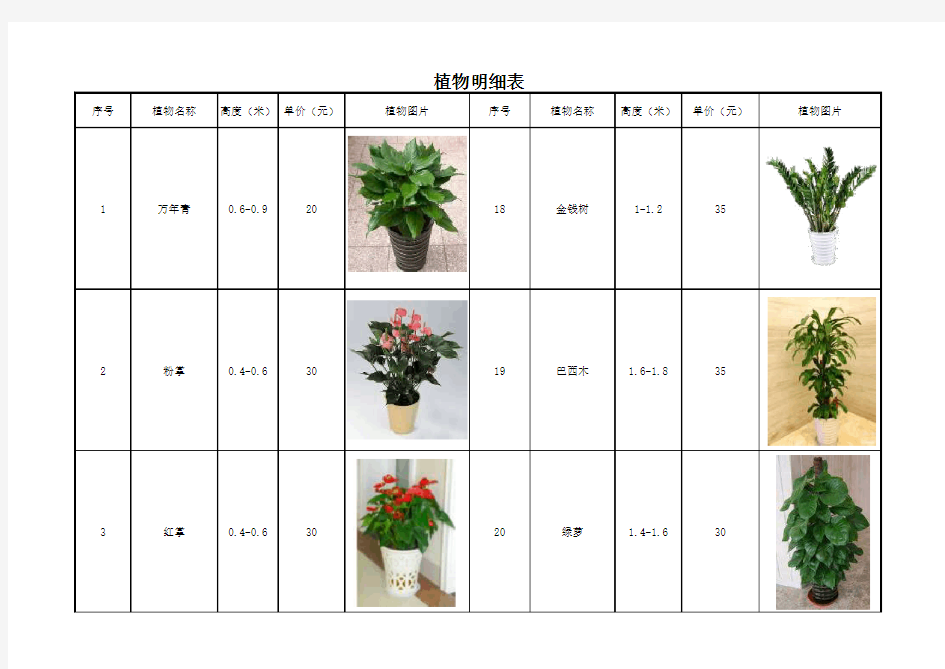 绿植租摆报价 含图片 